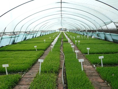 佳木斯市樺南縣:&ldquo;數字鄉村戰略&rdquo;助力鄉村振興發展