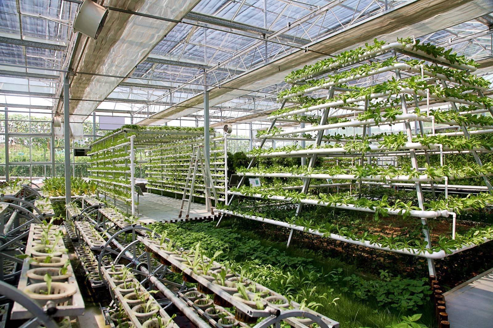 做大做強 西充爭當中國西部有機農(nóng)業(yè)&ldquo;排頭兵&rdquo;