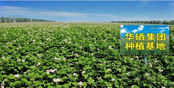 珠海華硒集團邵有林同志受聘為中國管理科學研究院行業(yè)發(fā)展研究所高級研究員