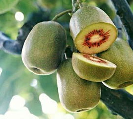 綠色谷農(nóng)業(yè)產(chǎn)品其他品牌資訊 綠色谷農(nóng)業(yè)產(chǎn)品企業(yè)動態(tài)資訊 第1頁