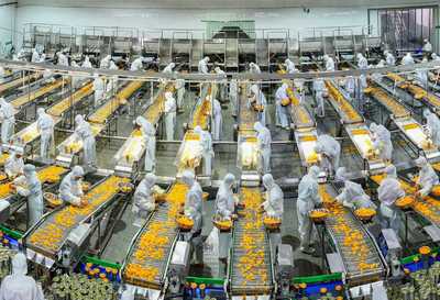 柑橘深加工助農(nóng)增收