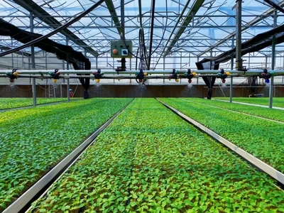 【就業創業】赤峰市創業大賽優秀項目展示:&ldquo;育&rdquo;出振興路 &ldquo;苗&rdquo;繪新藍圖--標準化育苗工廠項目