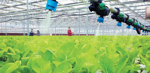 智慧農業增產增收