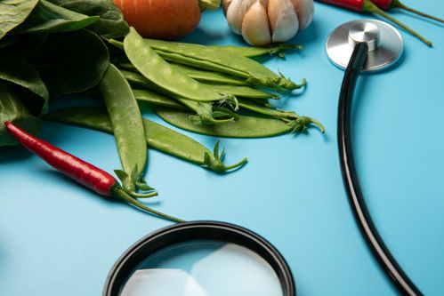 聽(tīng)診器大蒜食品安全農(nóng)業(yè)科技食品培育攝影圖 插畫(huà) 下載至來(lái)源處