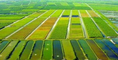 現(xiàn)代化農(nóng)田建設的要求