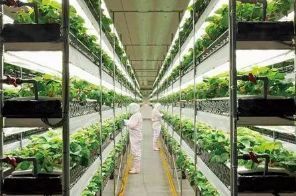 【創(chuàng)新】農(nóng)業(yè)科技亮點,東方紅400馬力無級變速拖拉機上榜!