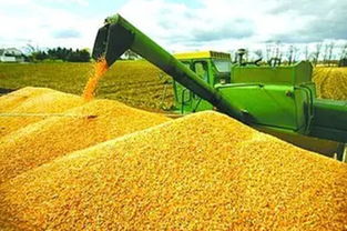 順應我省農(nóng)業(yè)供給側(cè)結(jié)構(gòu)性改革大潮 打造新型農(nóng)產(chǎn)品經(jīng)紀人