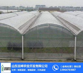 連棟溫室大棚在朔州地區(qū)農(nóng)業(yè)現(xiàn)代化中的應(yīng)用——富峰農(nóng)業(yè)的實踐探索