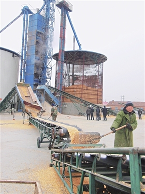 小型稻谷烘干塔廠家與價格概覽——神華機械廠家在農(nóng)業(yè)機械領(lǐng)域的優(yōu)勢