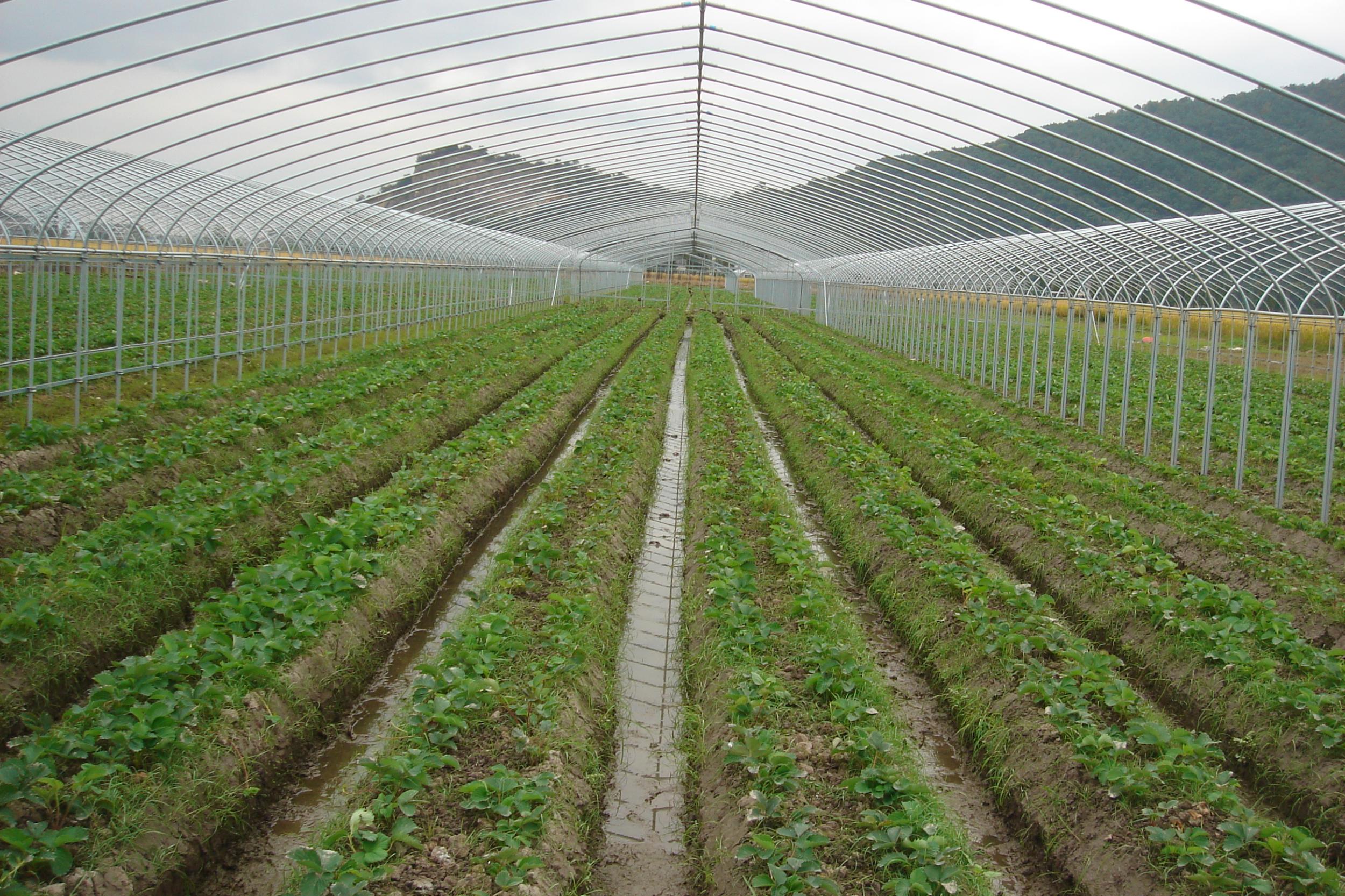 平陽三農(nóng) 創(chuàng)新引領(lǐng)，譜寫三農(nóng)發(fā)展新篇章