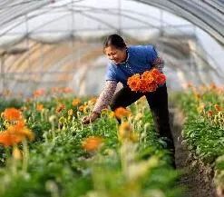 國家扶貧日 產(chǎn)業(yè)扶貧十大機(jī)制創(chuàng)新典型發(fā)布，農(nóng)業(yè)領(lǐng)域展現(xiàn)脫貧攻堅(jiān)新路徑